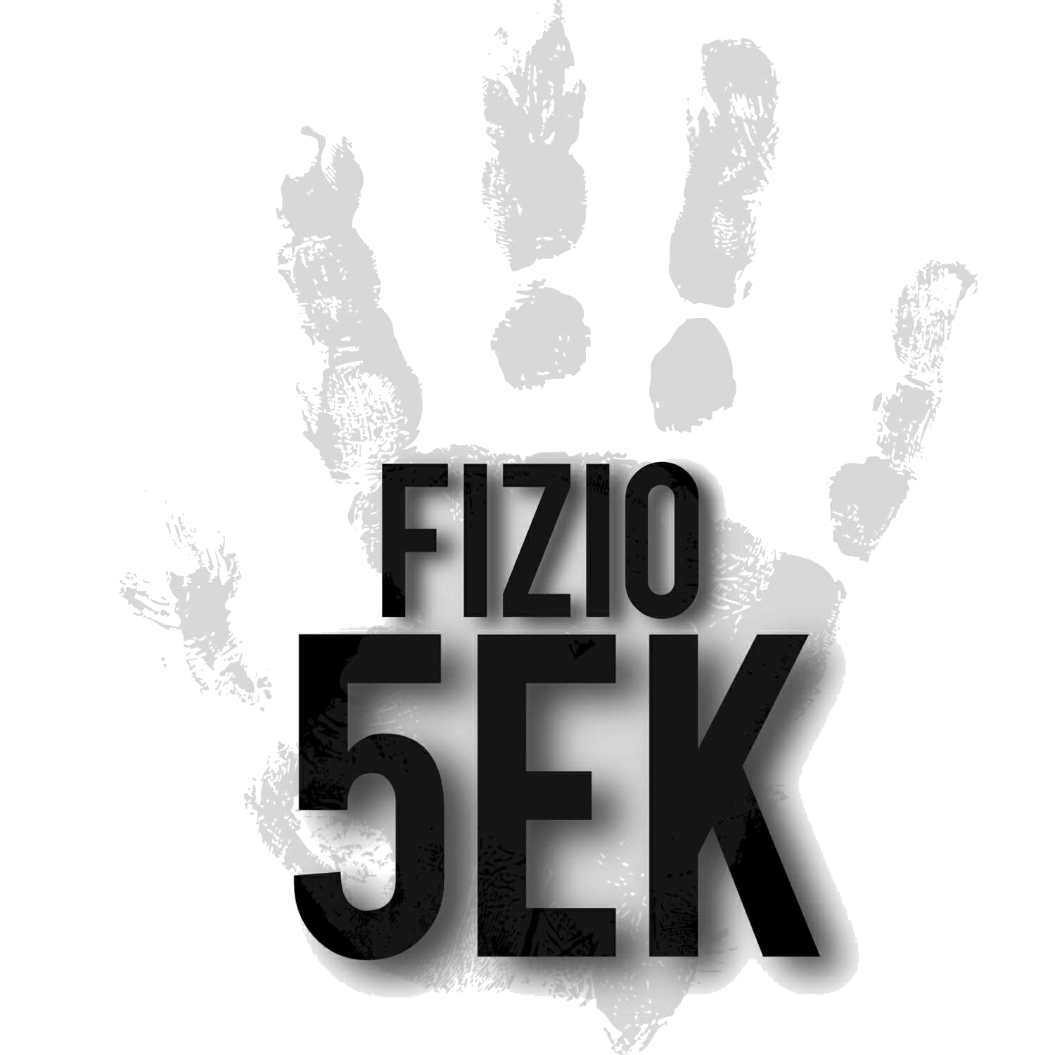 Fizioterapija 5ek Logo